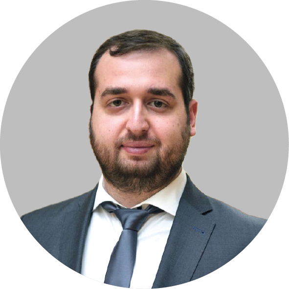 Модебадзе Давид Георгиевич