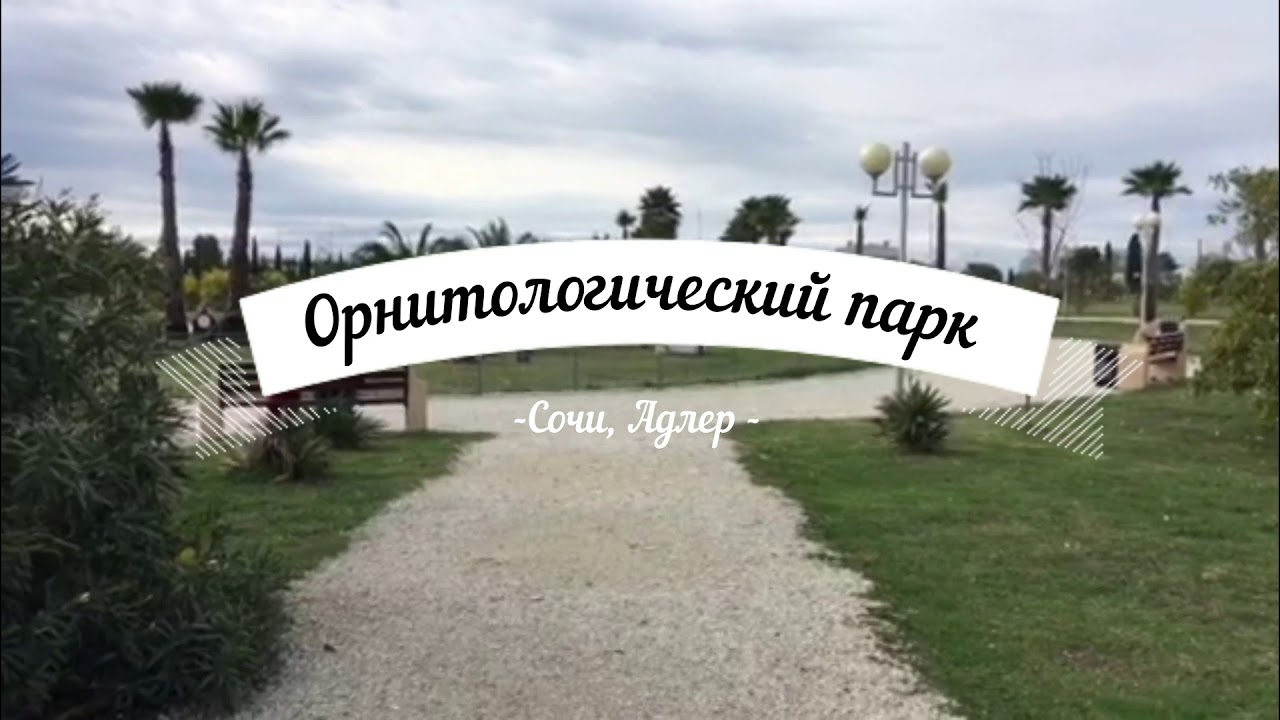 27-28 октября 2022 года ГКУ КК «Природный орнитологический парк в Имеретинской низменности»