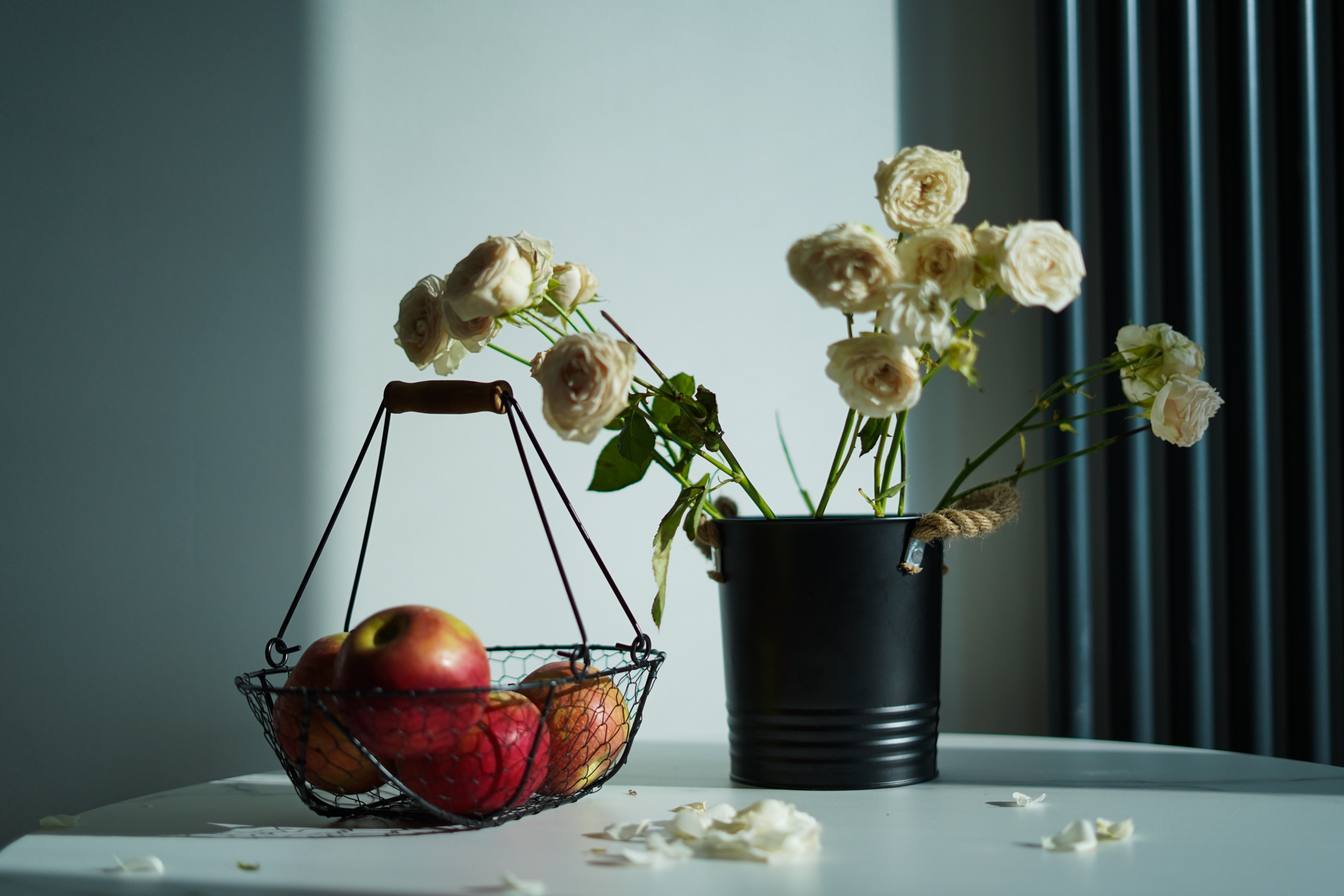 Современная и популярная культура